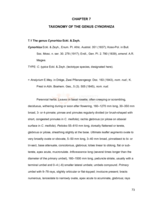 A taxonomic study of the Cape species of Peucedanum (Apioideae, Apiaceae)