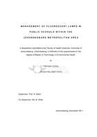 Management of fluorescent lamps in public schools within the Johannesburg metropolitan area