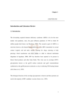 Purification and immunological evaluation of HIV-1 envelope proteins.