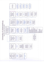 University of Johannesburg Executive Leadership Group organogram