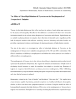 The effect of ultra-high dilutions of thyroxine on the morphogenesis of Xenopus laevis tadpoles