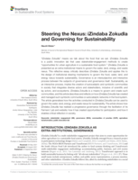 Steering the Nexus : iZindaba Zokudla and Governing for Sustainability