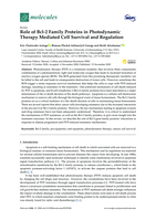 Role of Bcl-2 family proteins in photodynamic therapy mediated cell survival and regulation