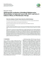 Multiorganelle localization of metallated phthalocyanine photosensitizer in colorectal cancer cells (dld-1 and caco-2) enhances efficacy of photodynamic therapy