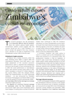 Covid-19 fully exposes Zimbabwe’s comatose economy