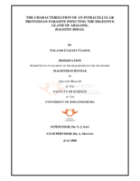 The characterization of an intracellular protozoan parasite infecting the digestive gland of abalone, Haliotis midae