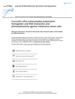 Curcumin–silica nanocomplex preparation, hemoglobin and DNA interaction and photocytotoxicity against melanoma cancer cells