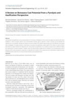 A review on Botswana coal potential from a pyrolysis and gasification perspective