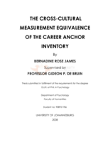 The cross-cultural measurement equivalence of the career anchor inventory