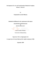 Development of in vitro and transformation methods for Sorghum bicolor (L. Moench)