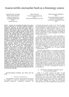 Acacia tortilis encroacher bush as a bioenergy source