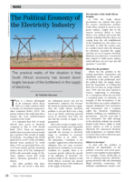 The political economy of the electricity industry