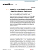 Ingestive behaviors in bearded capuchins (Sapajus libidinosus)
