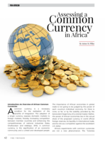 Assessing a Common Currency in Africa