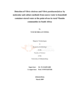 Detection of Vibrio cholerae and Vibrio parahaemolyticus by molecular and culture methods from source water to household container-stored water at the point-of-use in rural Vhembe communities in South Africa