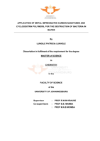 Application of metal impregnated carbon nanotubes and cyclodextrin polymers, for the destruction of bacteria in water