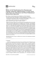 Modes of cell death induced by photodynamic therapy using zinc phthalocyanine in lung cancer cells grown as a monolayer and three-dimensional multicellular spheroids.