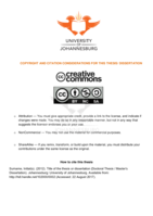 Roles of vlogger influencers and consumer learning : a black female hair care perspective