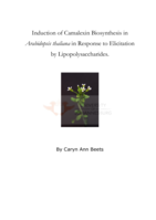 Induction of camalexin biosynthesis in Arabidopsis thaliana in response to elicitation by lipopolysaccharides