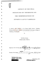 The effect of decimal potencies of Thyroxine on the morphogenesis of Xenopus laevis tadpoles