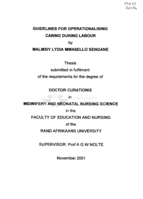 Guidelines for operationalising caring during labour