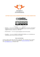 The FirstRand Founders’ story : exploring synergistic relationships