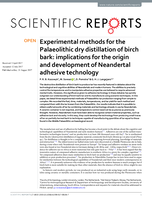 Experimental methods for the Palaeolithic dry distillation of birch bark: implications for the origin and development of Neandertal adhesive technology
