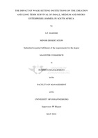 The impact of wage-setting institutions on the creation and long-term survival of small, medium and micro enterprises (SMMEs) in South Africa