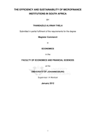The efficiency and sustainability of microfinance institutions in South Africa