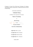 Evaluation of atomic force microscopy techniques for imaging and studying surface characteristics of bacterial systems involved in bioleaching