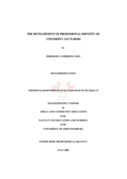 The development of professional identity of university lecturers.