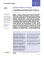 Processing and structural characterization of Si-based carbothermal derivatives of rice husk
