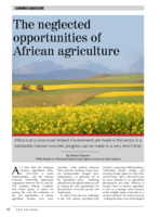 The neglected opportunities of African agriculture