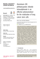 Aluminium (III) phthalocyanine chloride tetrasulphonate is an effective photosensitizer for the eradication of lung cancer stem cells