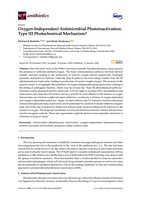 Oxygen-independent antimicrobial photoinactivation : Type III photochemical Mechanism?