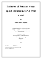 Isolation of Russian wheat aphid-induced ncRNA from wheat
