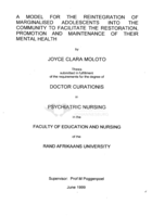 A model for the reintegration of marginalised adolescents into the community to facilitate the restoration, promotion and maintenance of their mental health