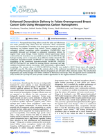 Enhanced Doxorubicin Delivery in Folate-Overexpressed Breast Cancer Cells Using Mesoporous Carbon Nanospheres