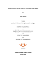 Sense-making of trauma through leadership development