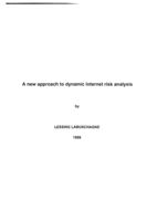 A new approach to dynamic internet risk analysis