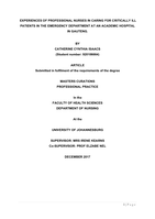 Experiences of professional nurses in caring for critically ill patients in the emergency department at an academic hospital in Gauteng