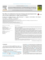 The effects of combined low level laser therapy and mesenchymal stem cells on bone regeneration in rabbit calvarial defects