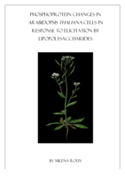 Phosphoprotein changes in Arabidopsis thaliana cells in response to elicitation by lipopolysaccharides.