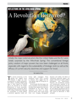 Reflections on the Afro/Arab spring : a revolution betrayed?