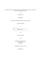 Modulation of heat shock proteins following the synergistic treatment of sodium salicylate and heat shock in oesophageal cancer cells