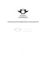 Diplomatic protection in the jurisprudence of the International Court of Justice and the South African law