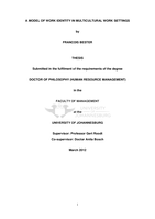 A model of work identity in multicultural work settings