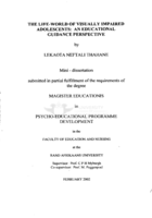 The life-world of visually impaired adolescents : an educational guidance perspective