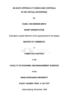 An audit approach to risks and controls in the virtual enterprise