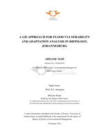 A GIS approach for flood vulnerability and adaptation analysis in Diepsloot, Johannesburg